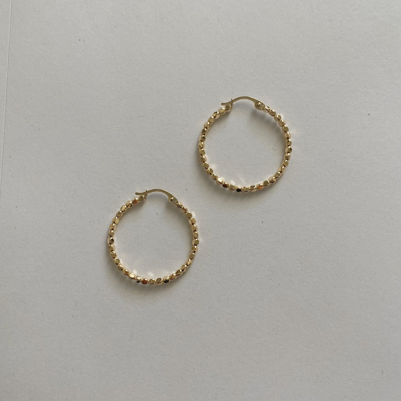 The Large Phoebe Hoops
